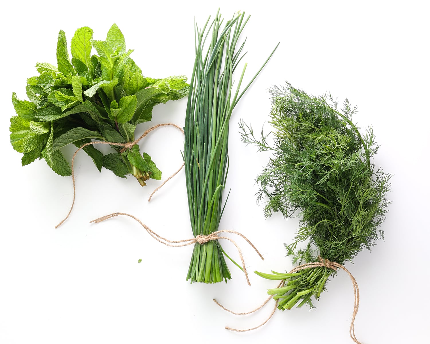 Fresh bunches of chives, dill and mint